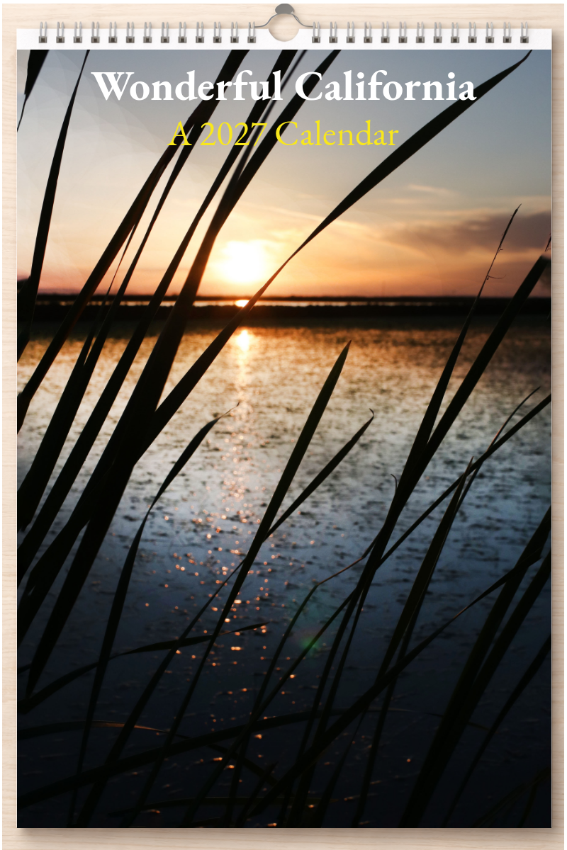 Wonderful California: A 2027 Calendar