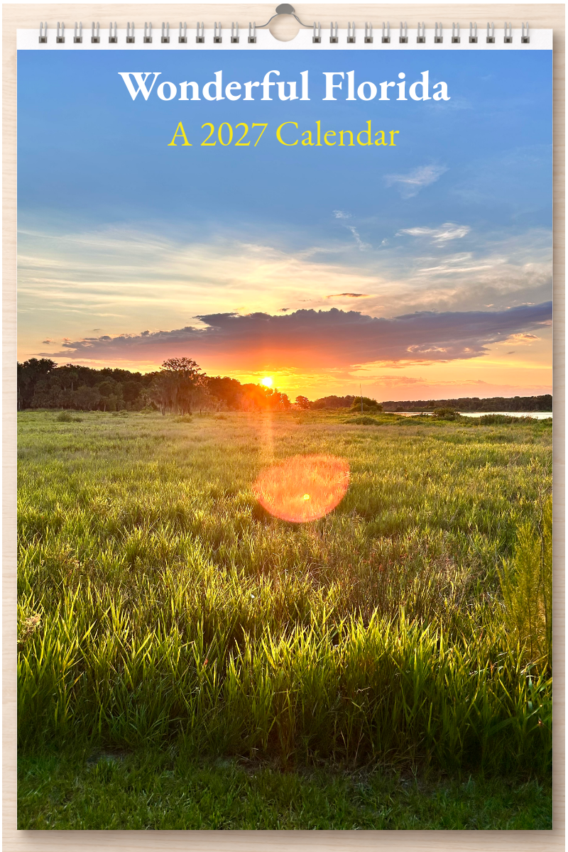 Wonderful Florida: A 2027 Calendar
