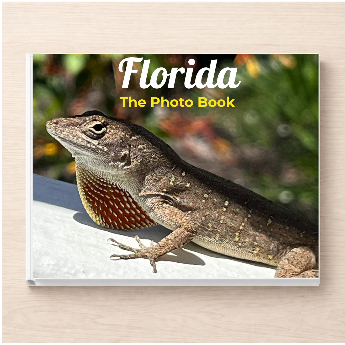 Florida: The Photo Book