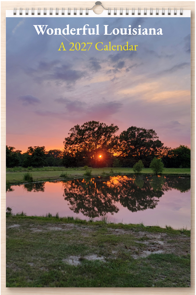 Wonderful Louisiana: A 2027 Calendar