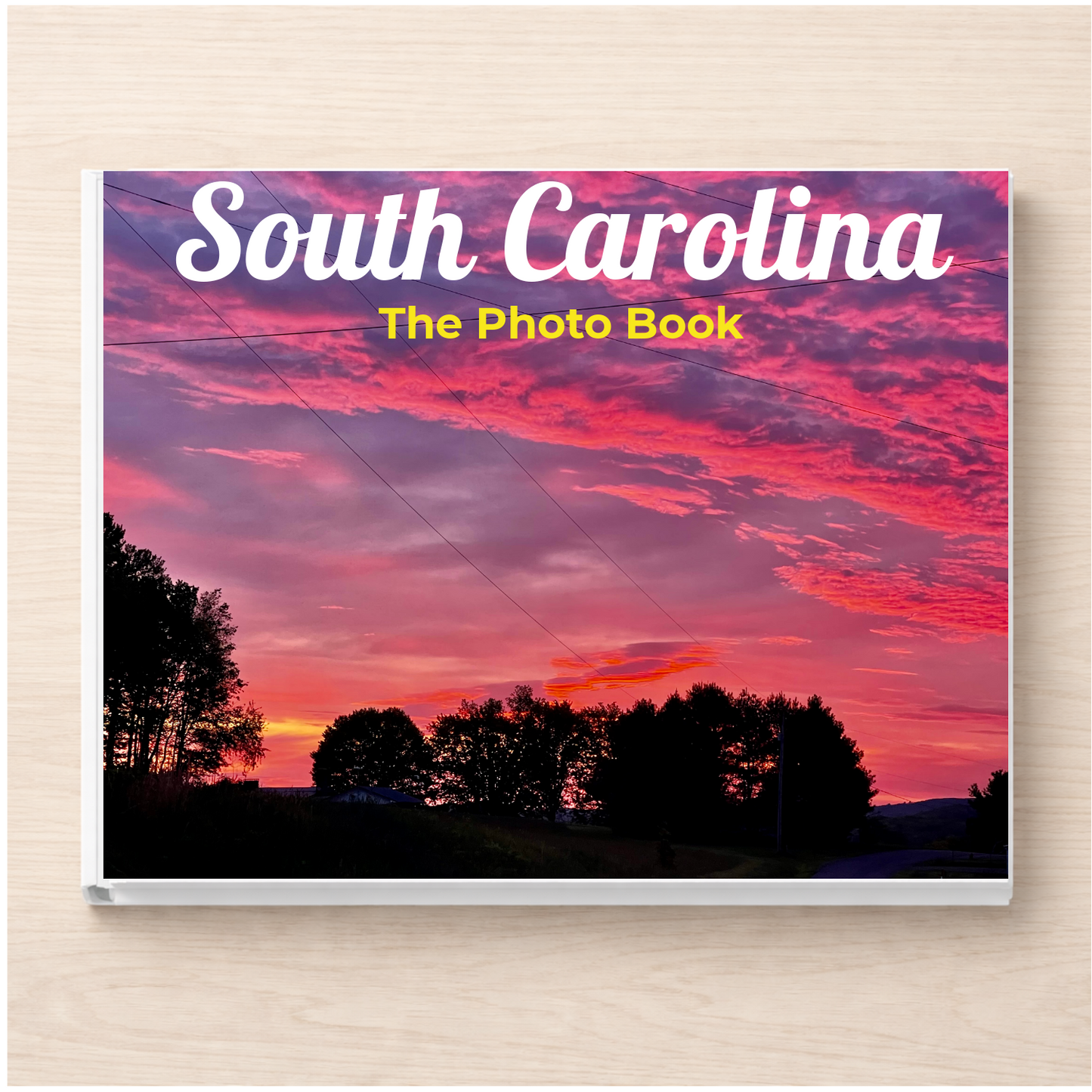 South Carolina: The Photo Book
