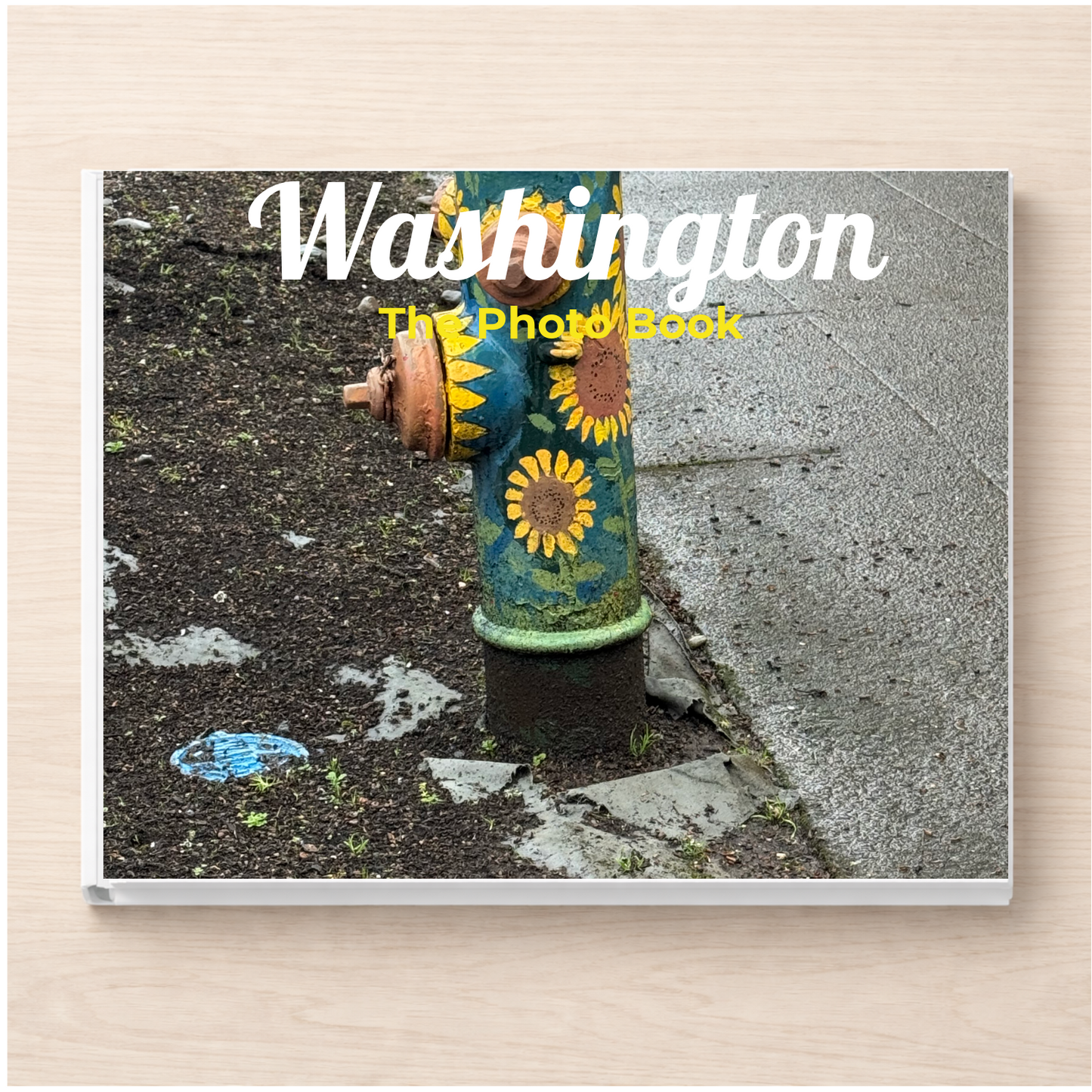 Washington: The Photo Book