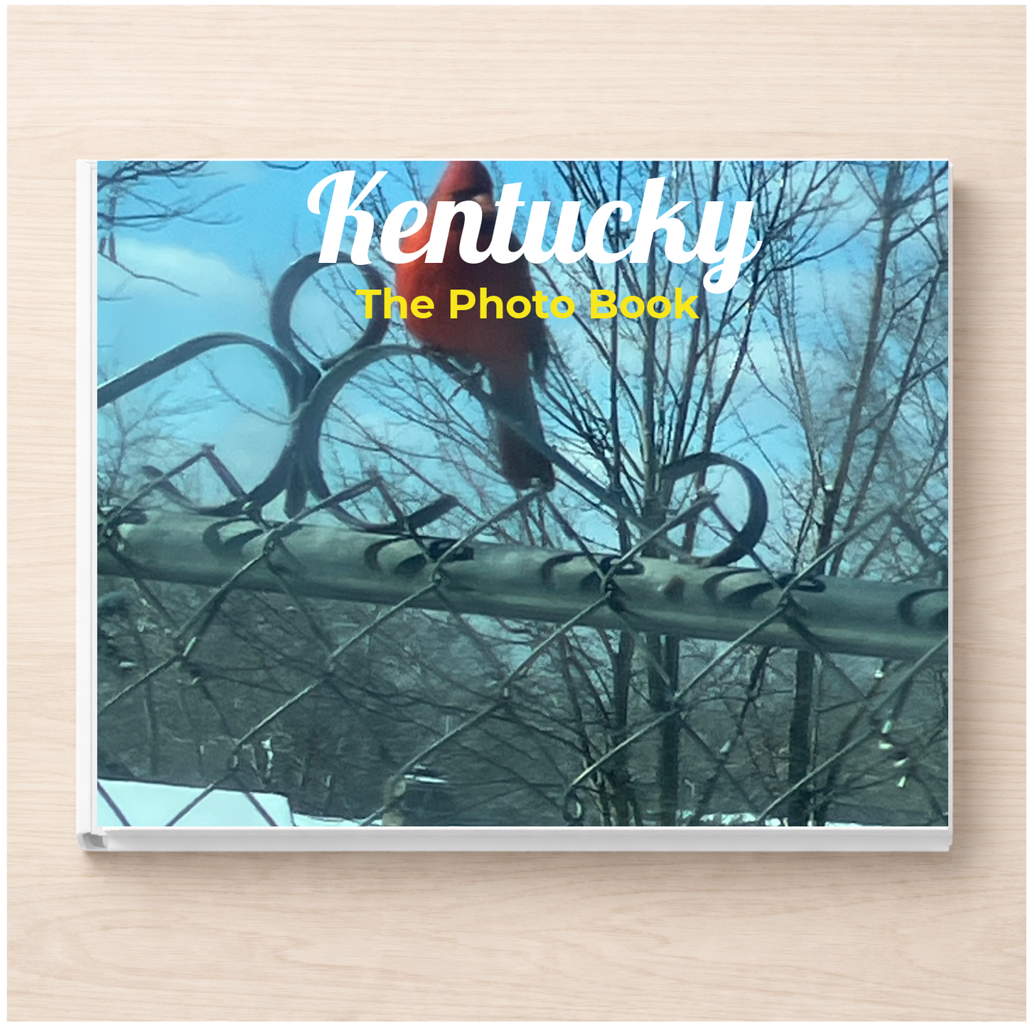 Kentucky: The Photo Book