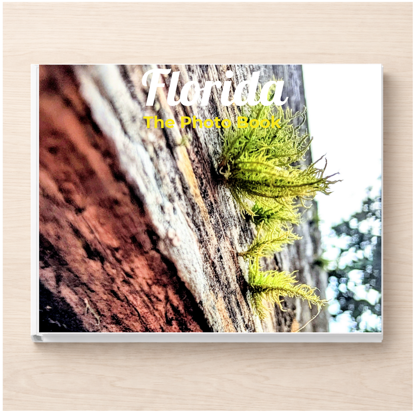 Florida: The Photo Book