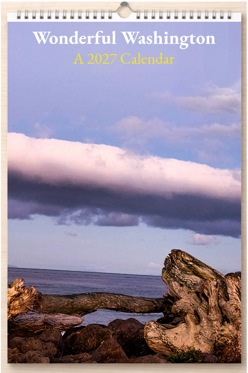 Wonderful Washington: A 2027 Calendar