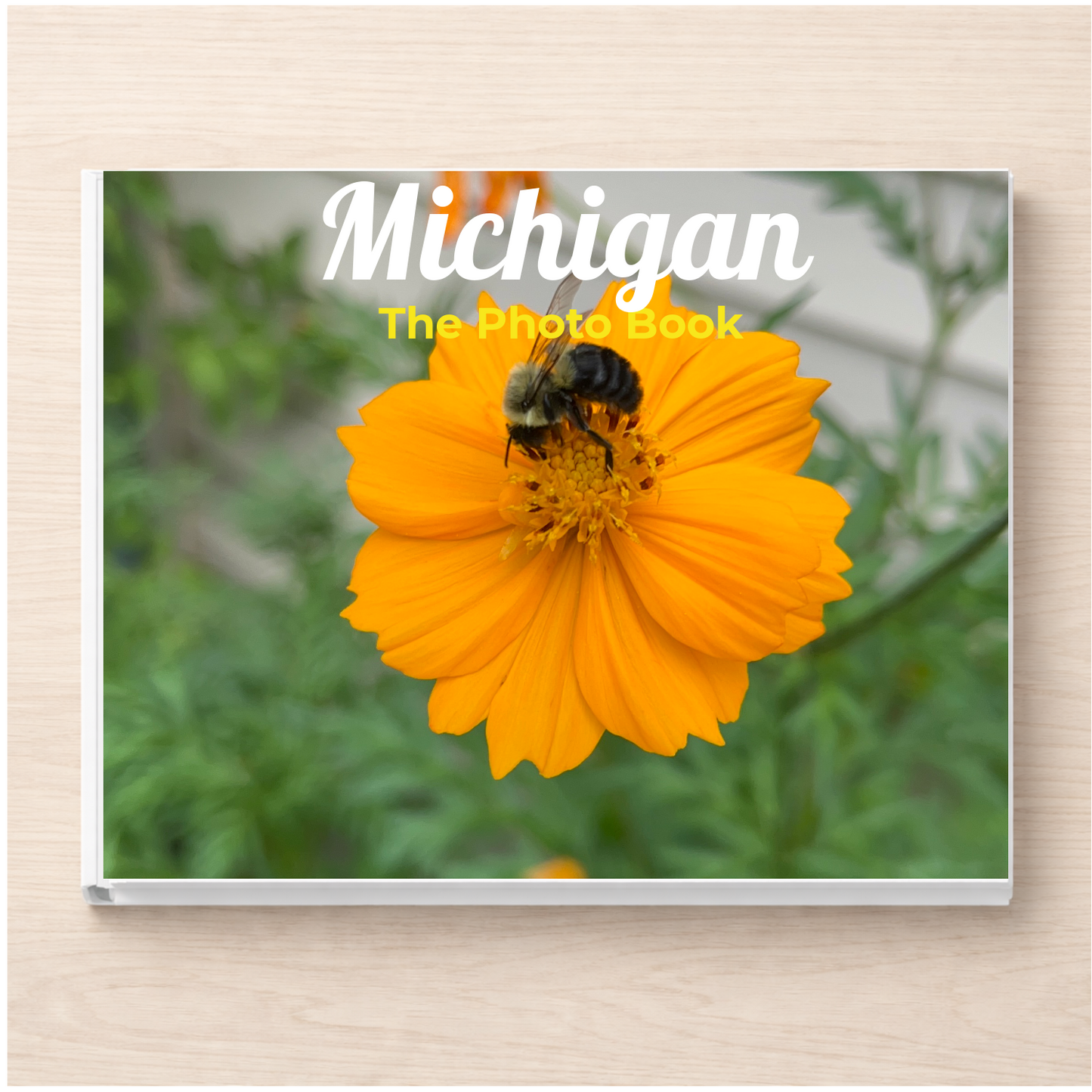 Michigan: The Photo Book