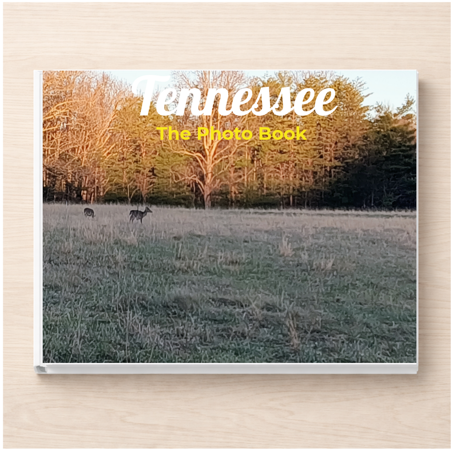 Tennessee: The Photo Book