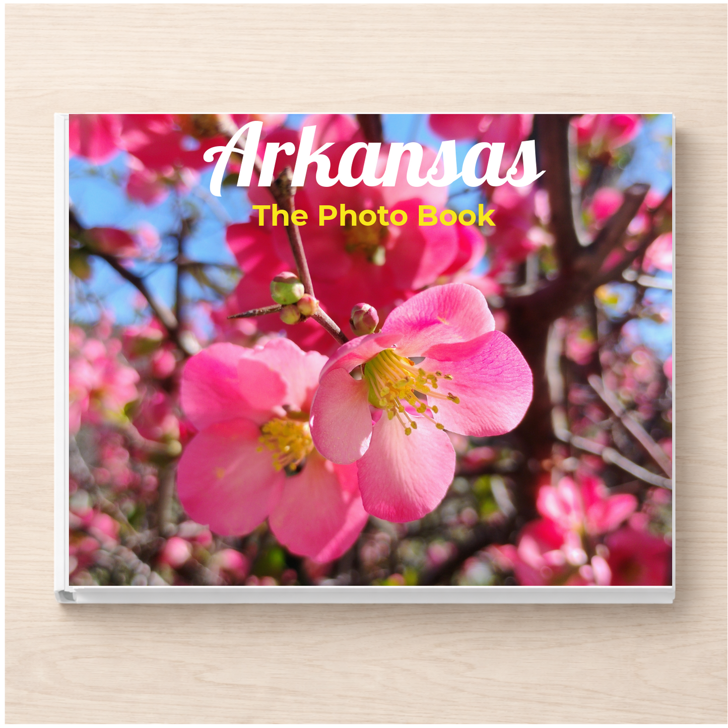 Arkansas: The Photo Book
