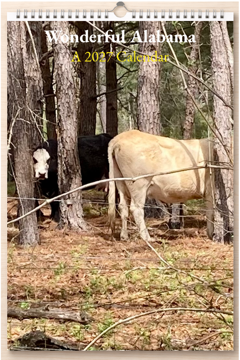 Wonderful Alabama: A 2027 Calendar