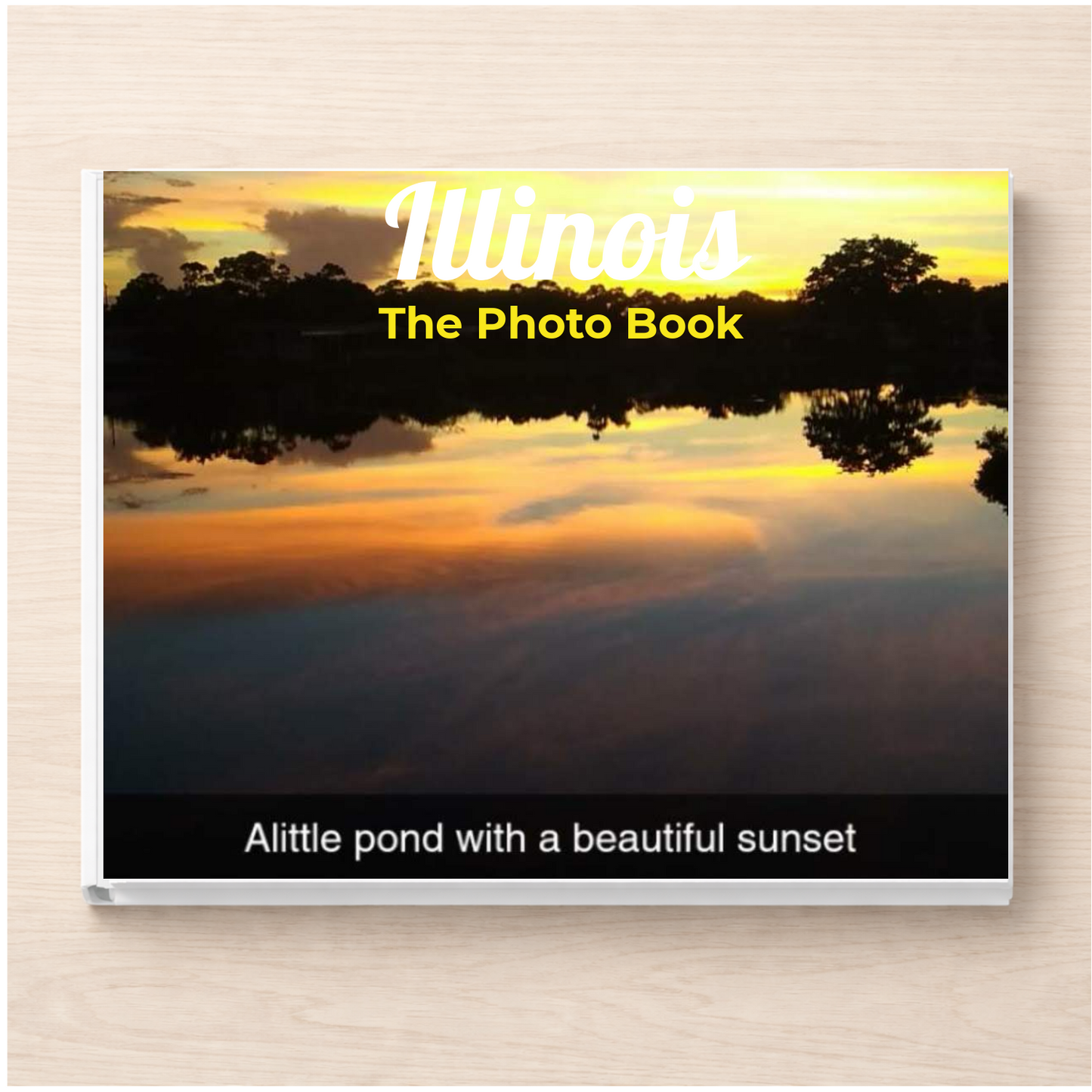 Illinois: The Photo Book