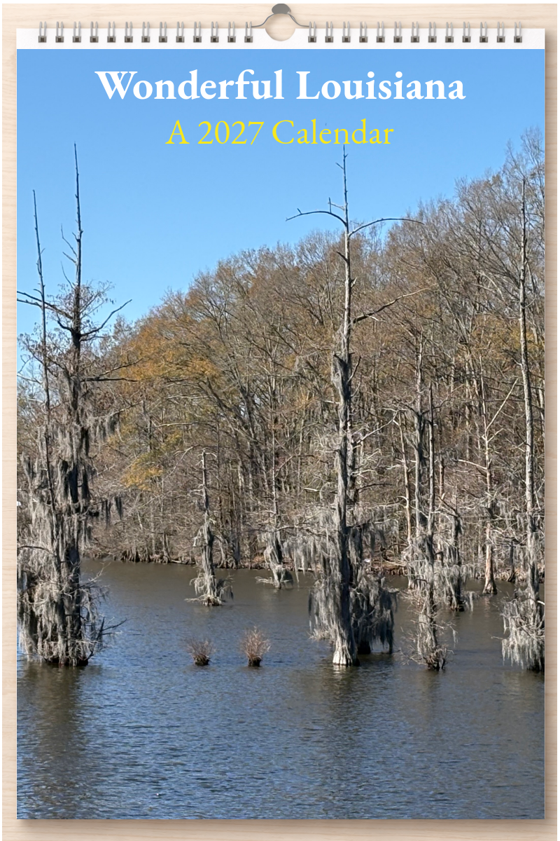 Wonderful Louisiana: A 2027 Calendar