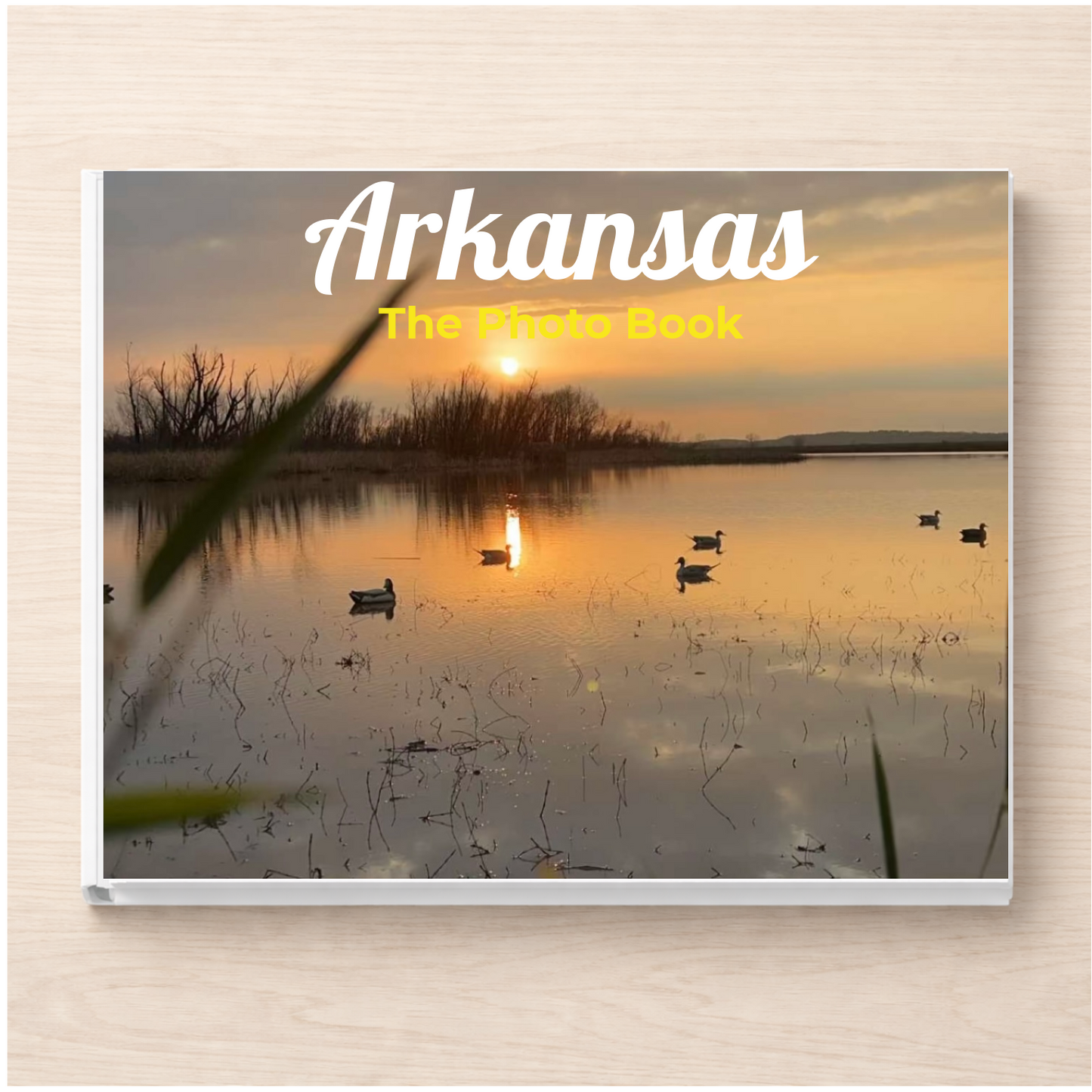 Arkansas: The Photo Book