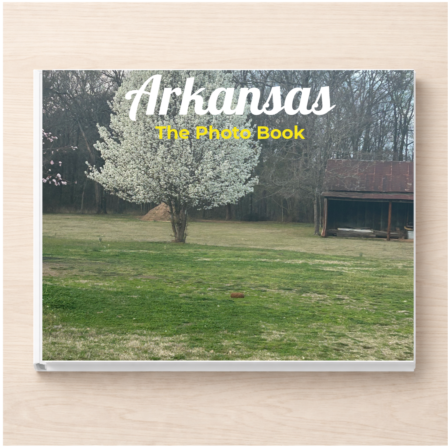 Arkansas: The Photo Book