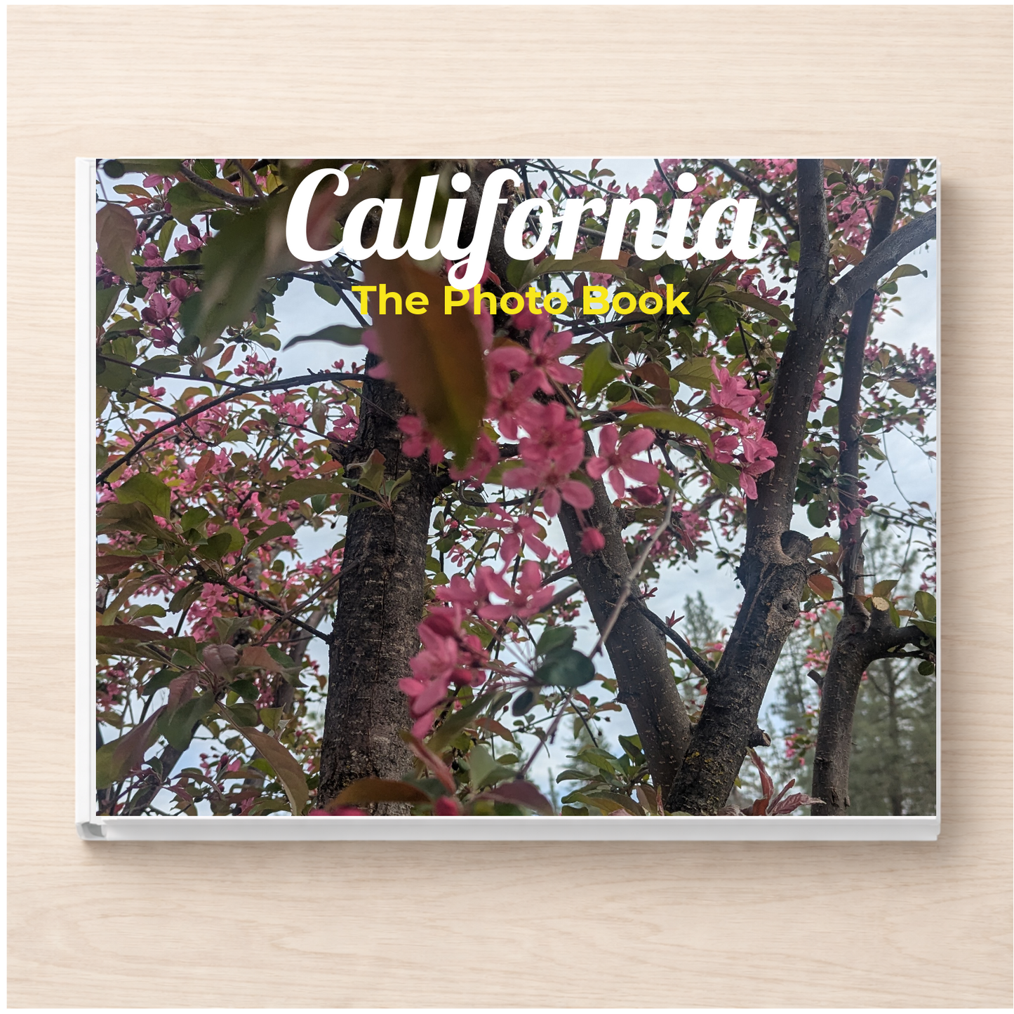 California: The Photo Book