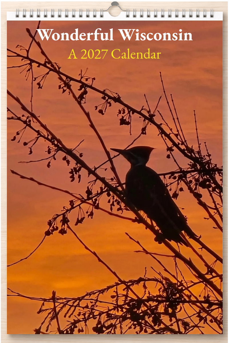Wonderful Wisconsin: A 2027 Calendar
