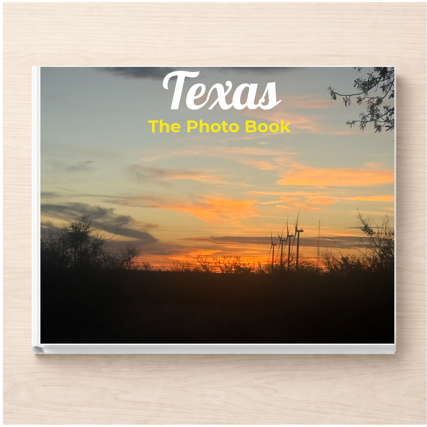 Texas: The Photo Book