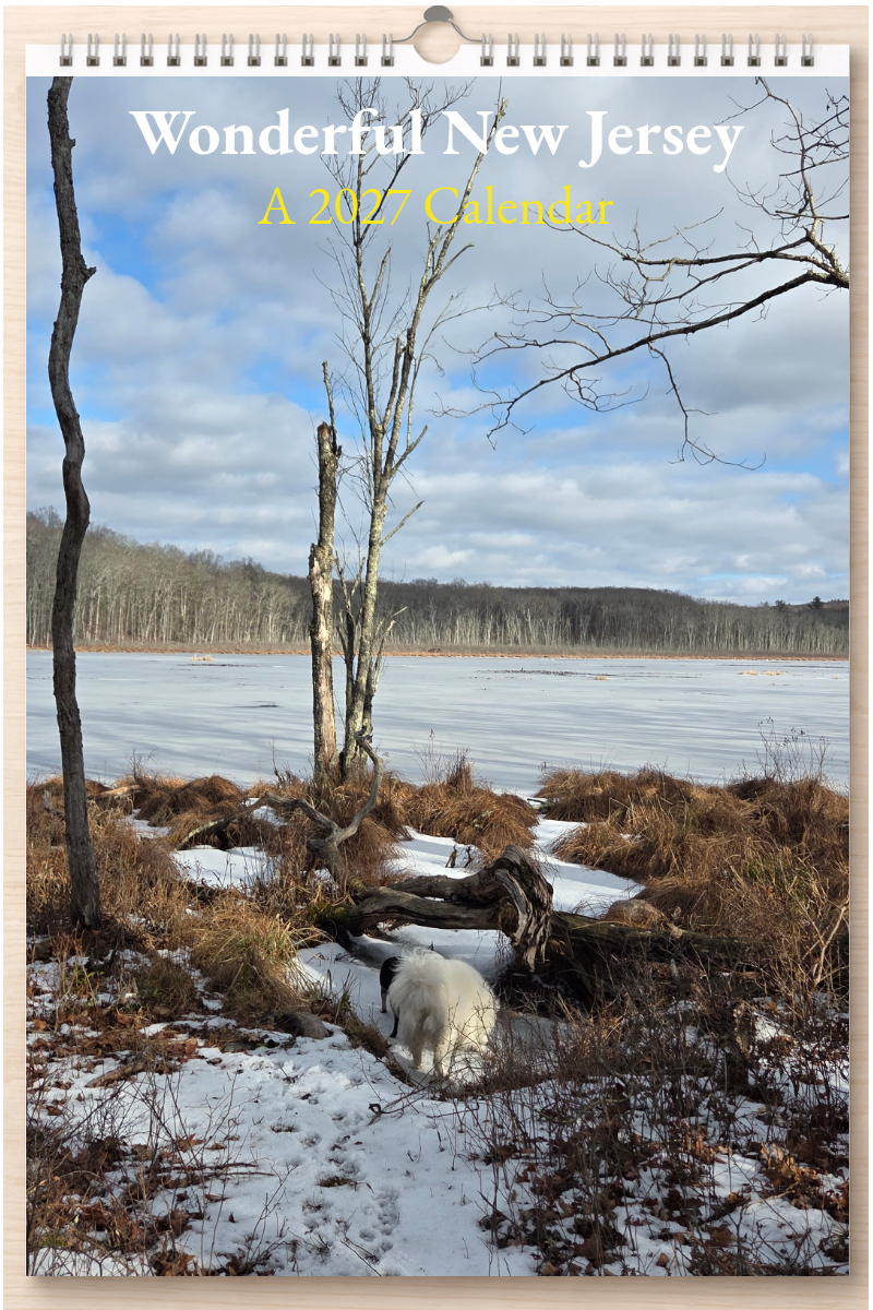 Wonderful New Jersey: A 2027 Calendar