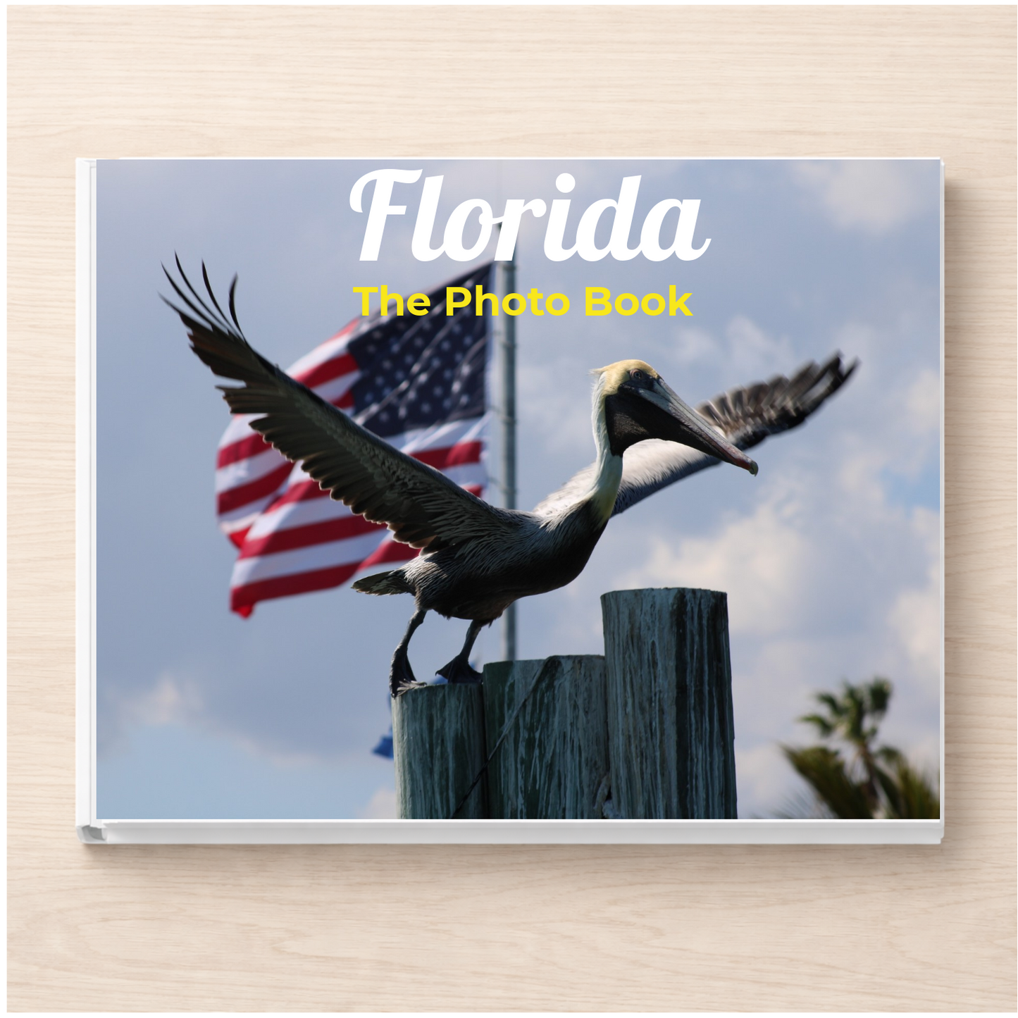 Florida: The Photo Book
