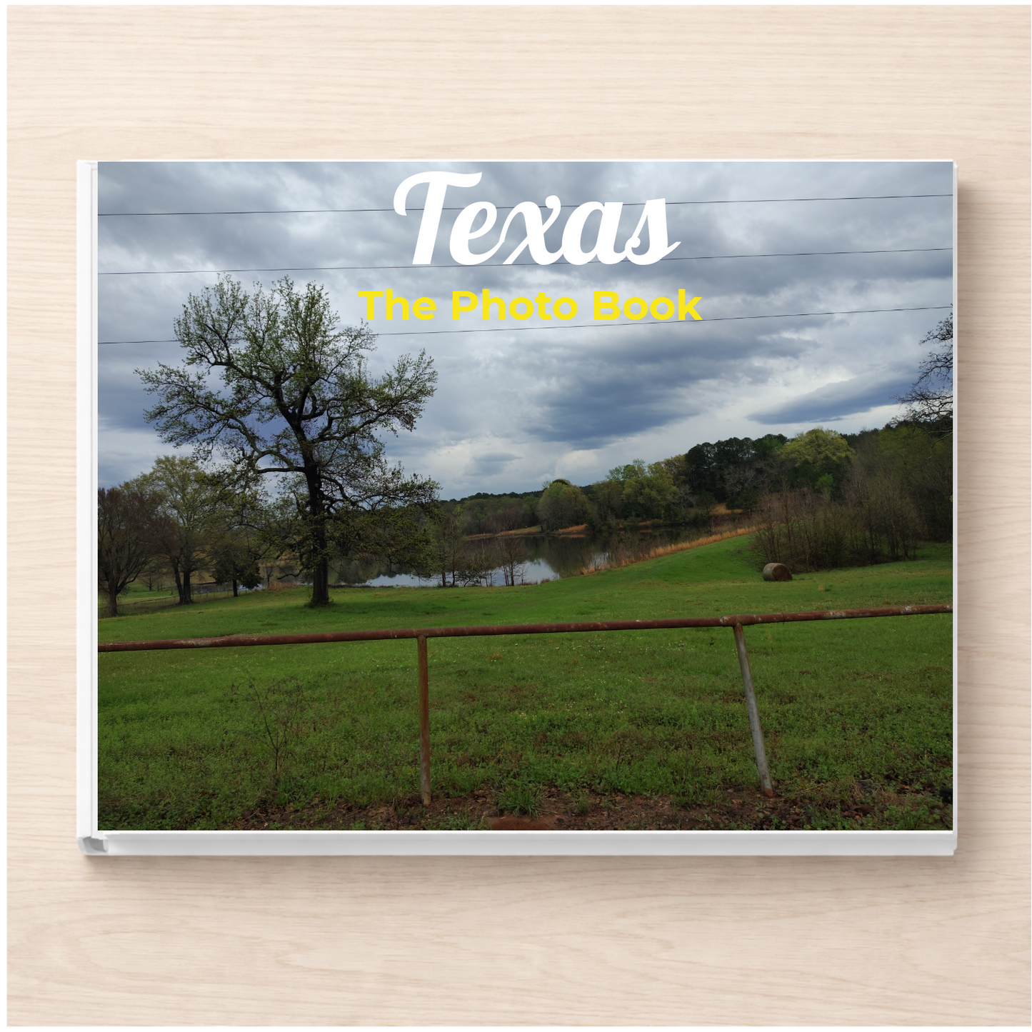 Texas: The Photo Book
