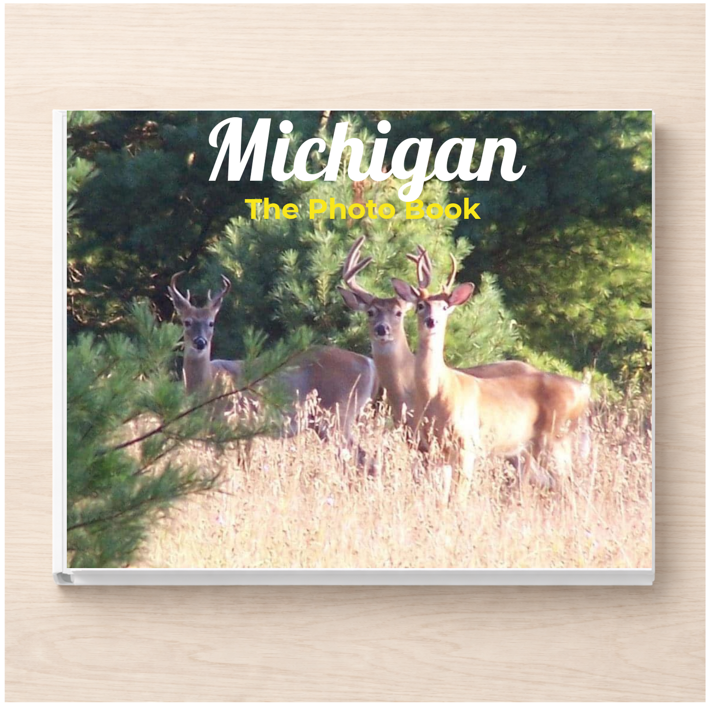 Michigan: The Photo Book