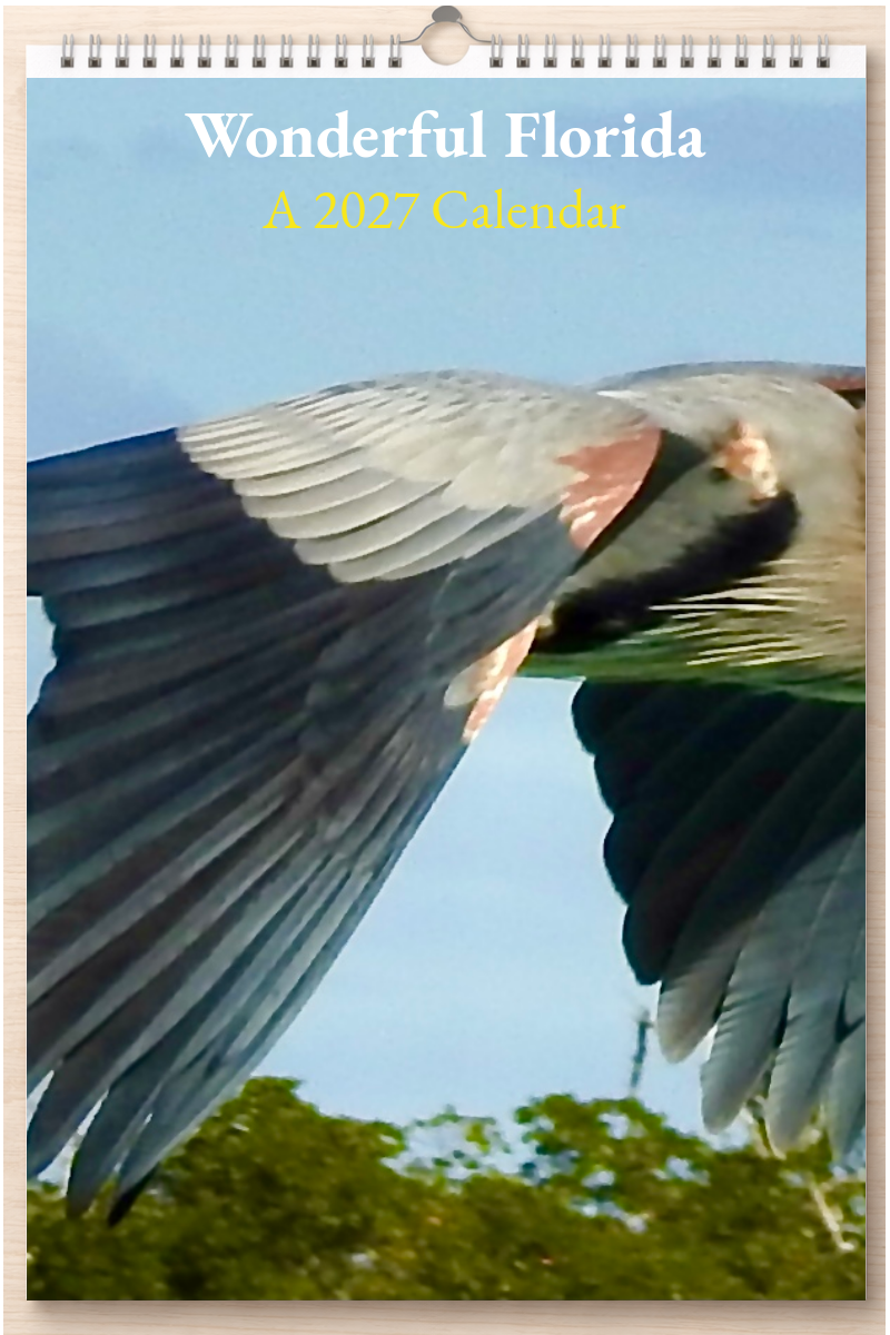 Wonderful Florida: A 2027 Calendar