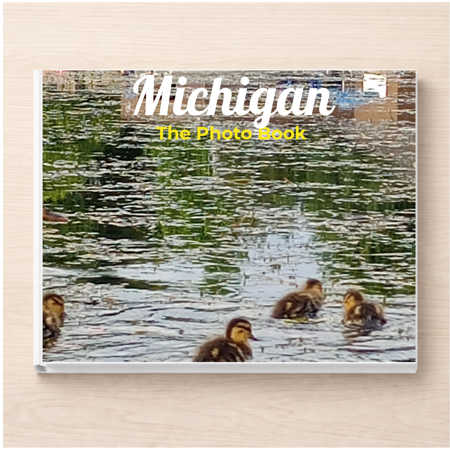 Michigan: The Photo Book