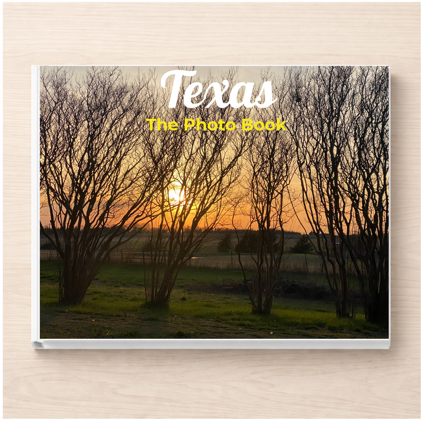 Texas: The Photo Book