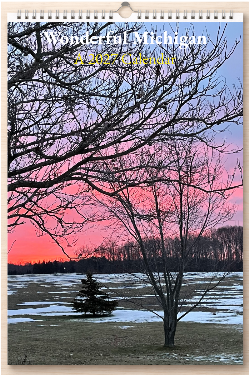 Wonderful Michigan: A 2027 Calendar