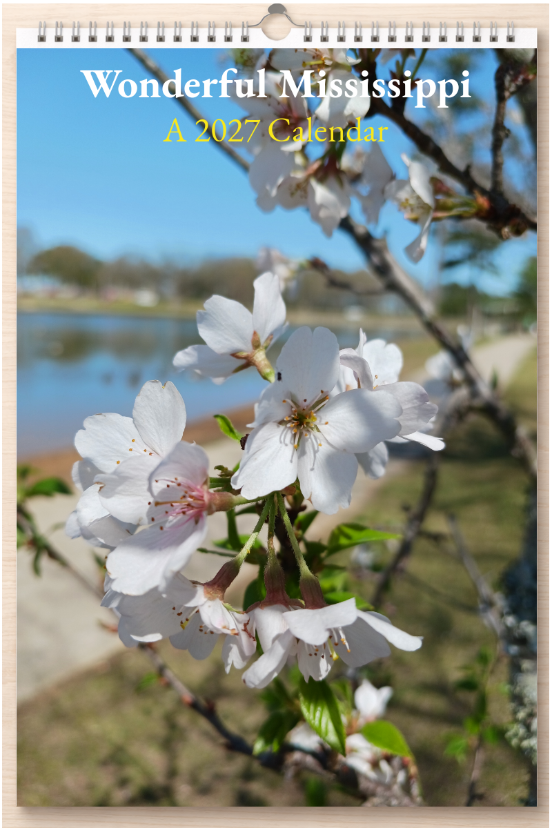Wonderful Mississippi: A 2027 Calendar