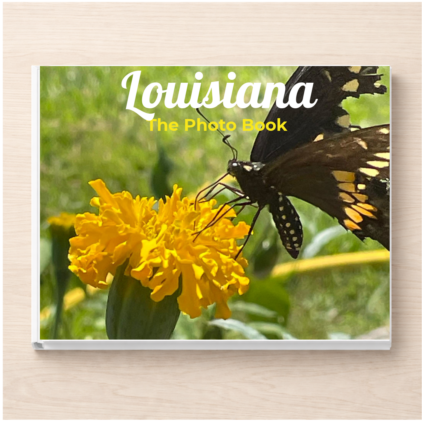 Louisiana: The Photo Book