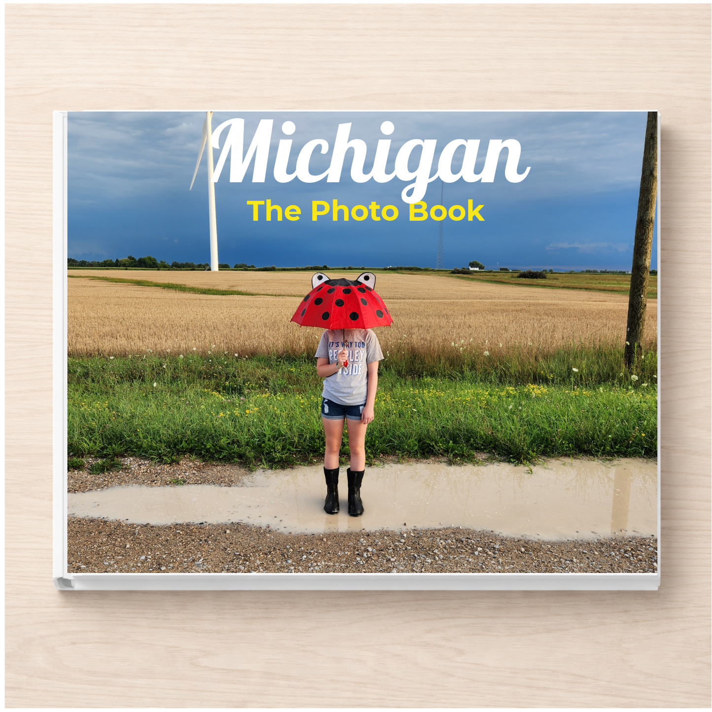 Michigan: The Photo Book