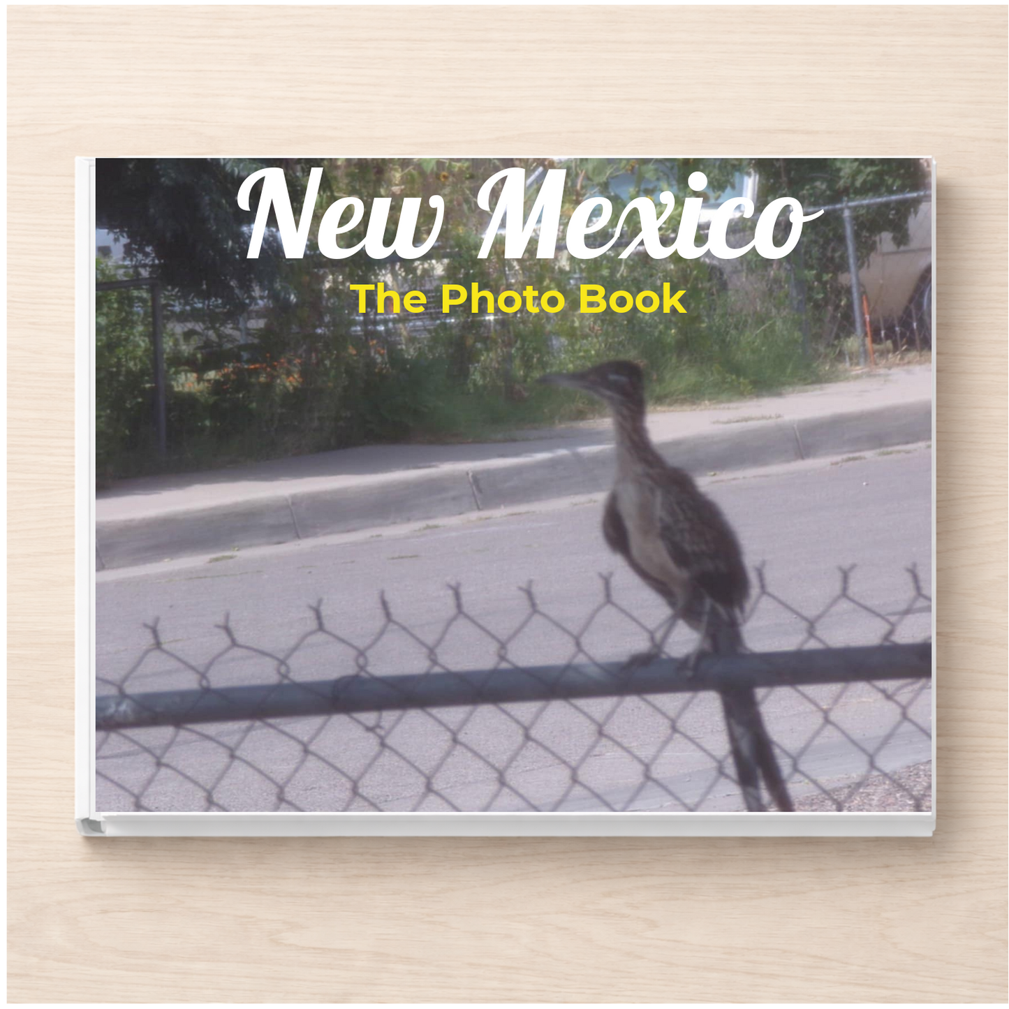 New Mexico: The Photo Book