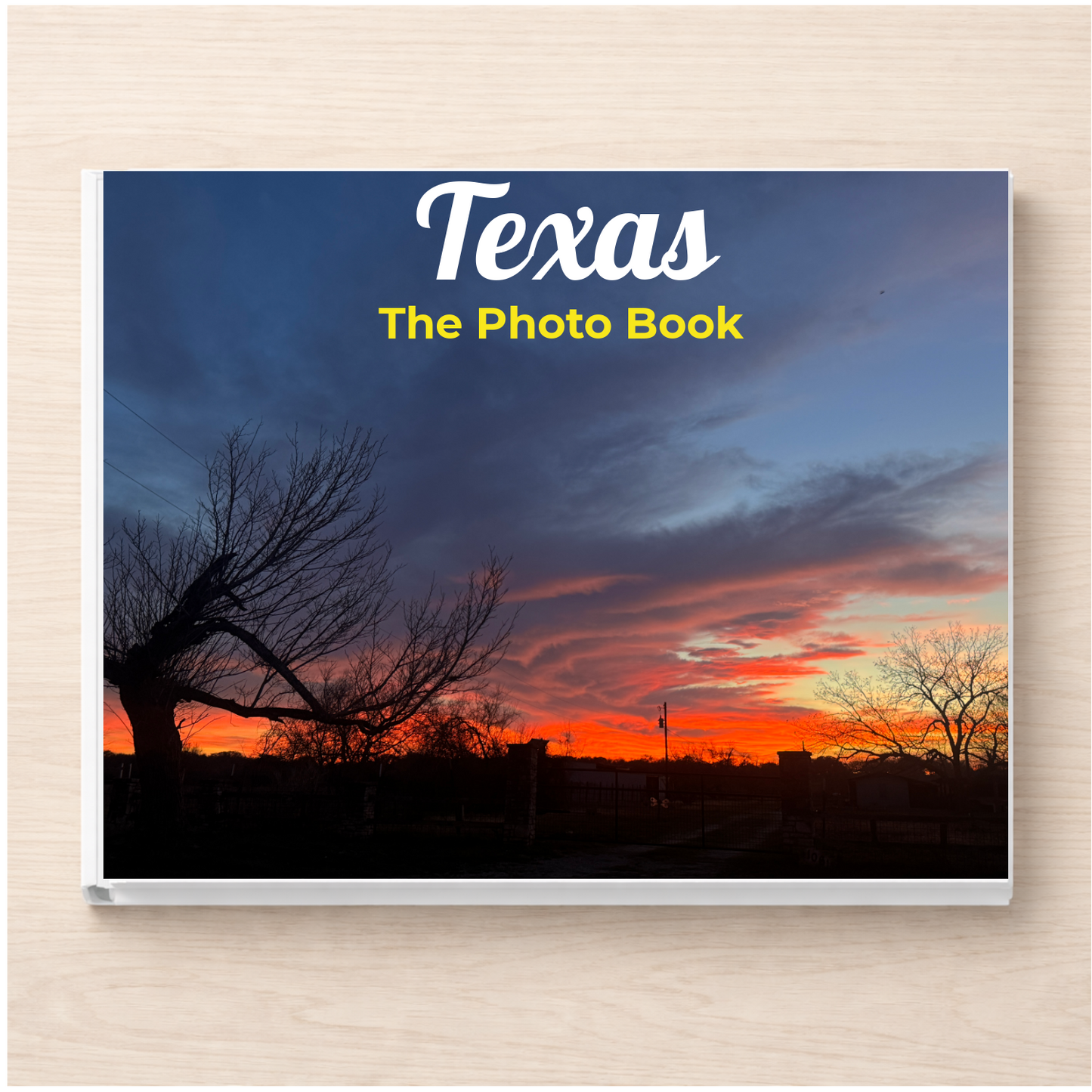 Texas: The Photo Book