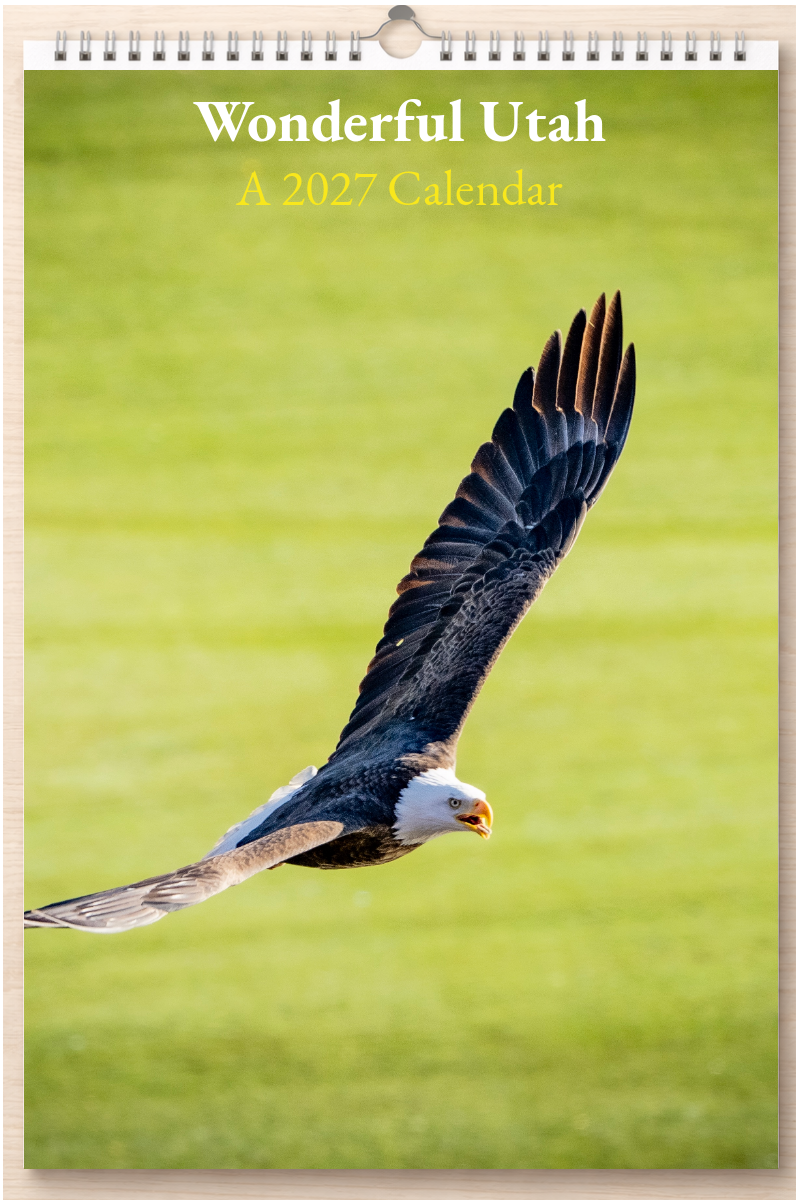 Wonderful Utah: A 2027 Calendar