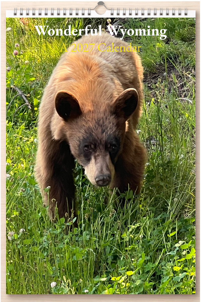Wonderful Wyoming: A 2027 Calendar
