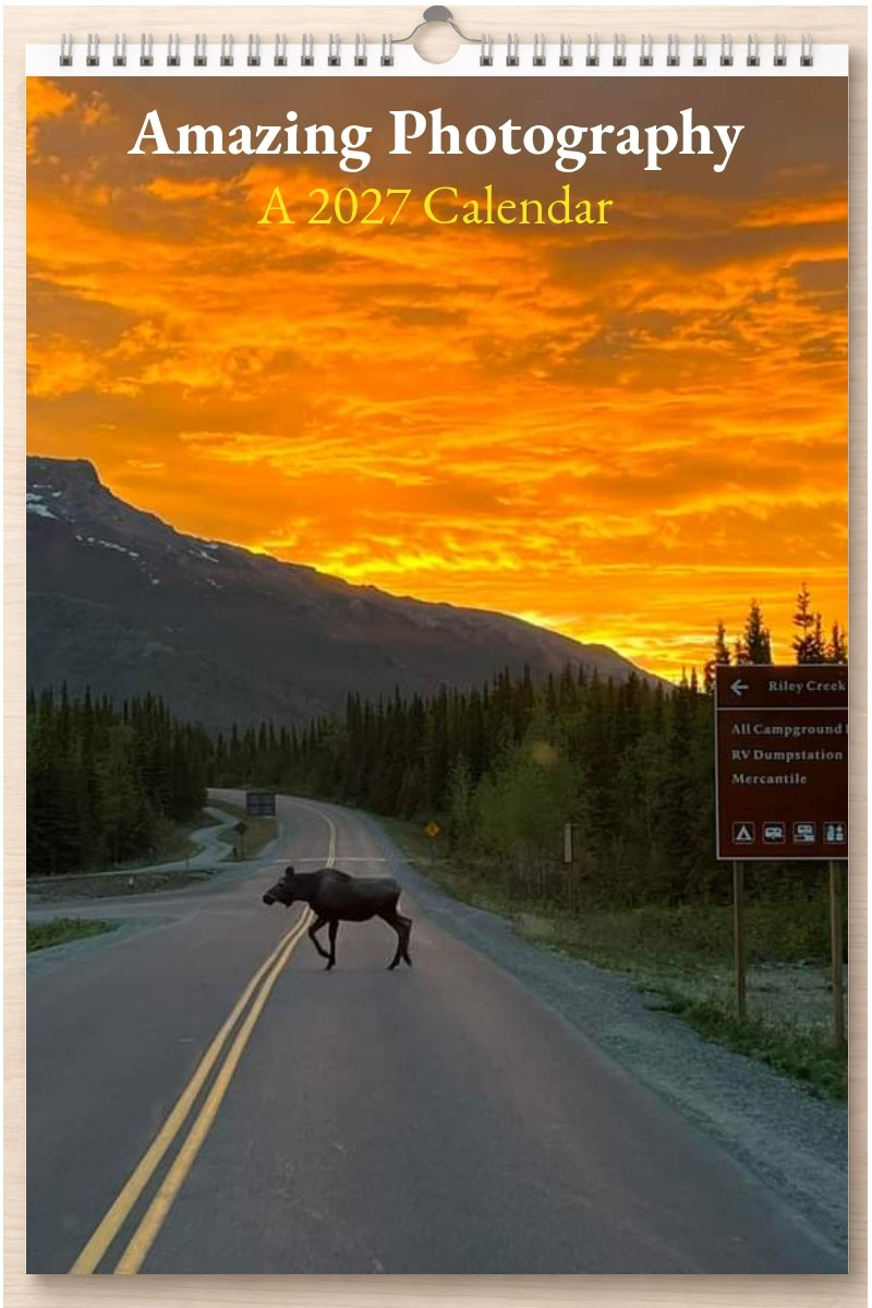 Amazing Photography: A 2027 Calendar