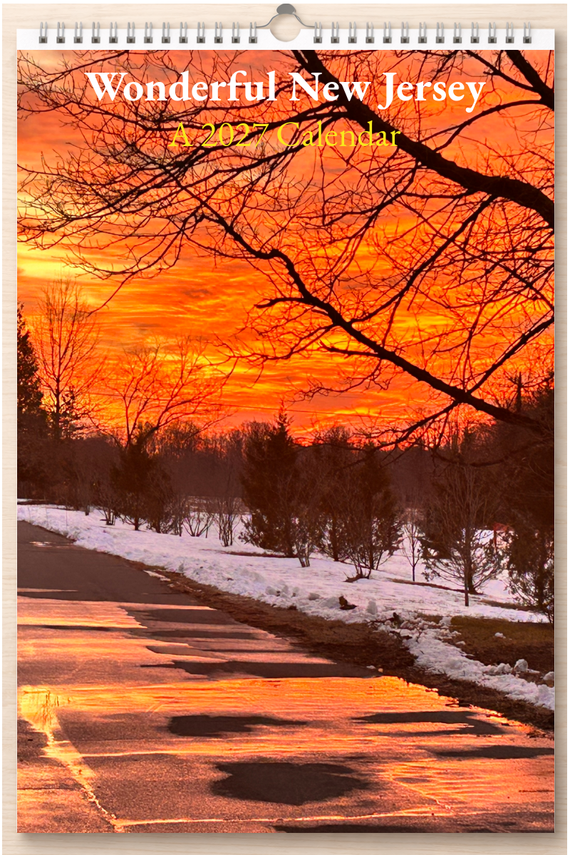 Wonderful New Jersey: A 2027 Calendar