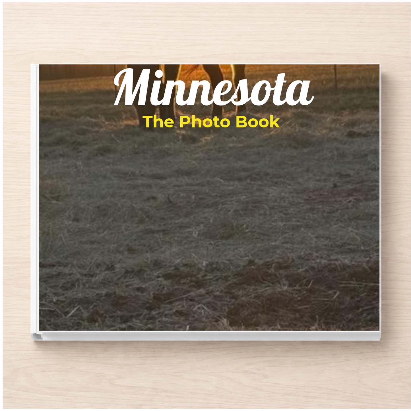 Minnesota: The Photo Book