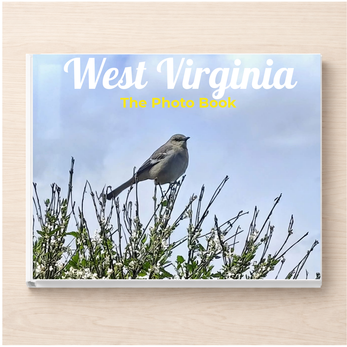 West Virginia: The Photo Book