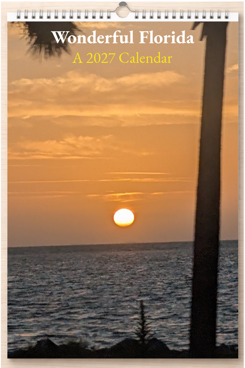 Wonderful Florida: A 2027 Calendar