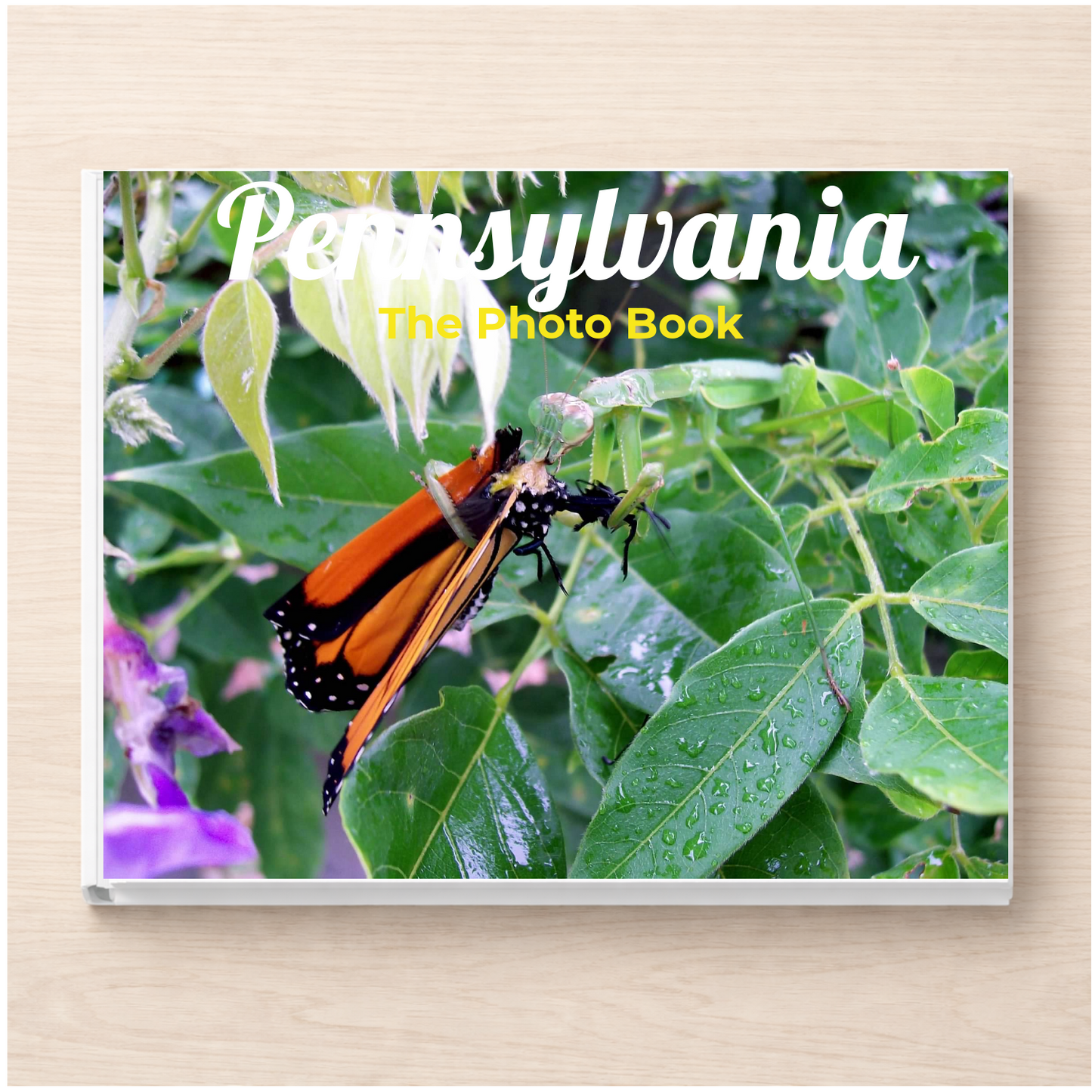 Pennsylvania: The Photo Book