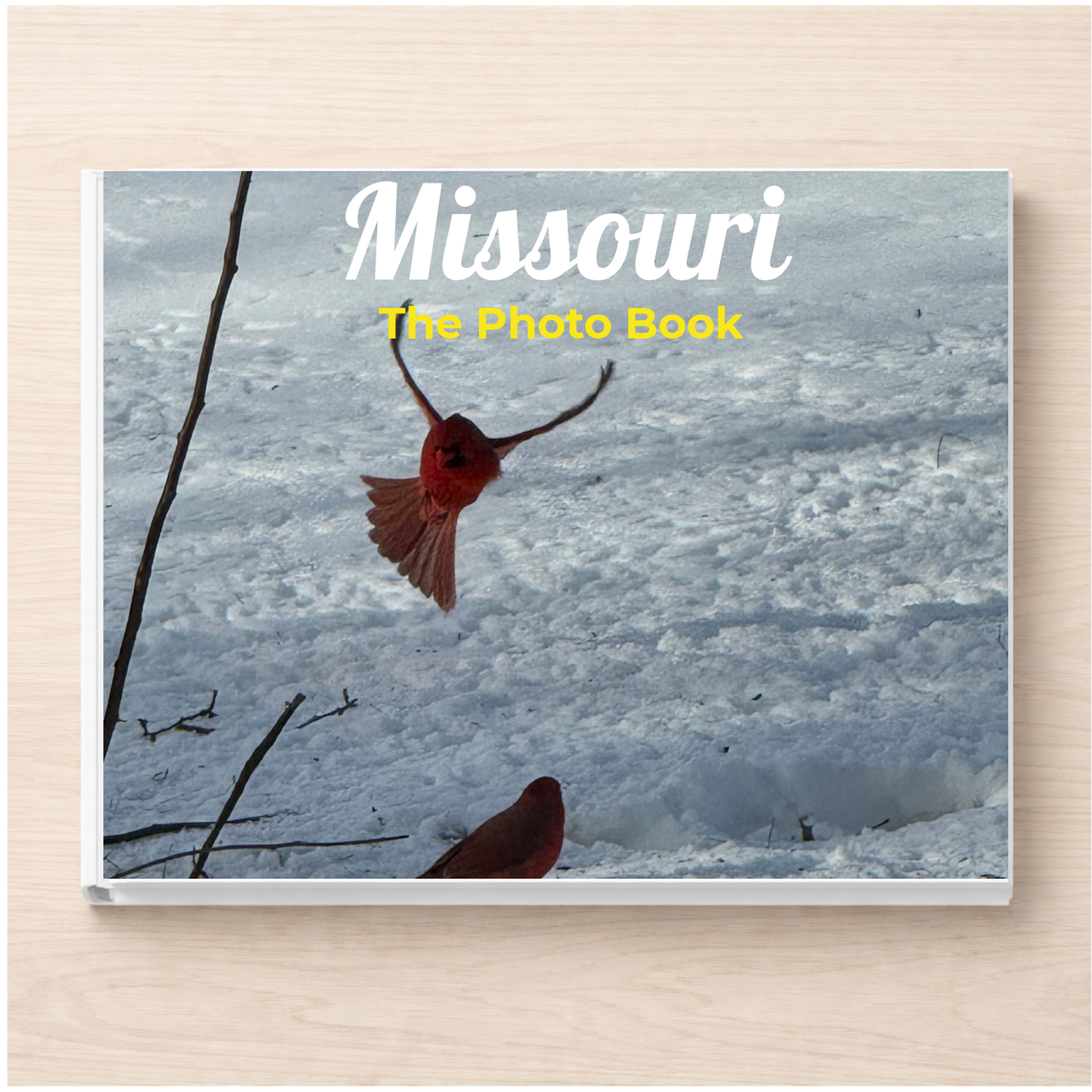 Missouri: The Photo Book