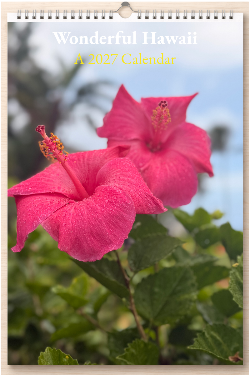 Wonderful Hawaii: A 2027 Calendar
