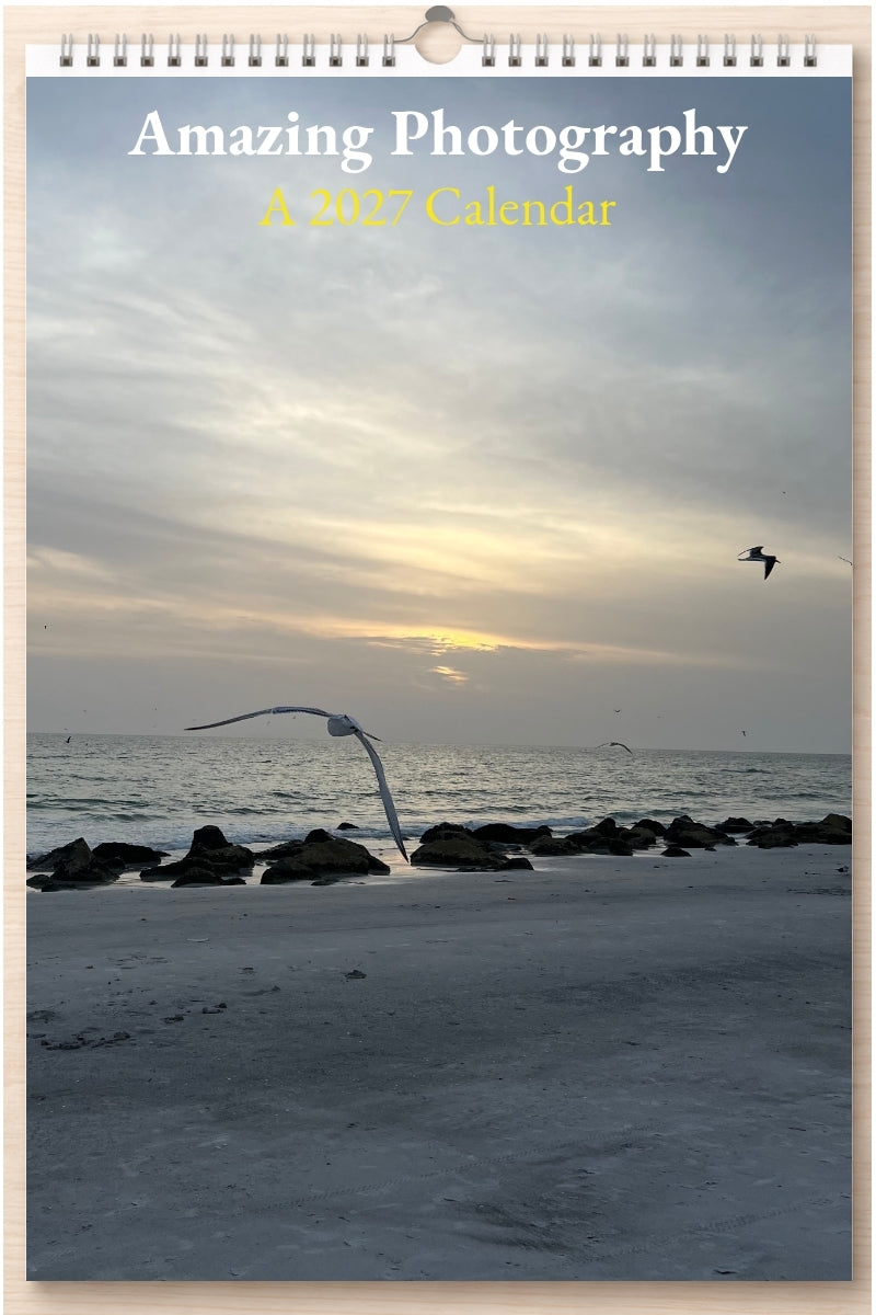 Amazing Photography: A 2027 Calendar