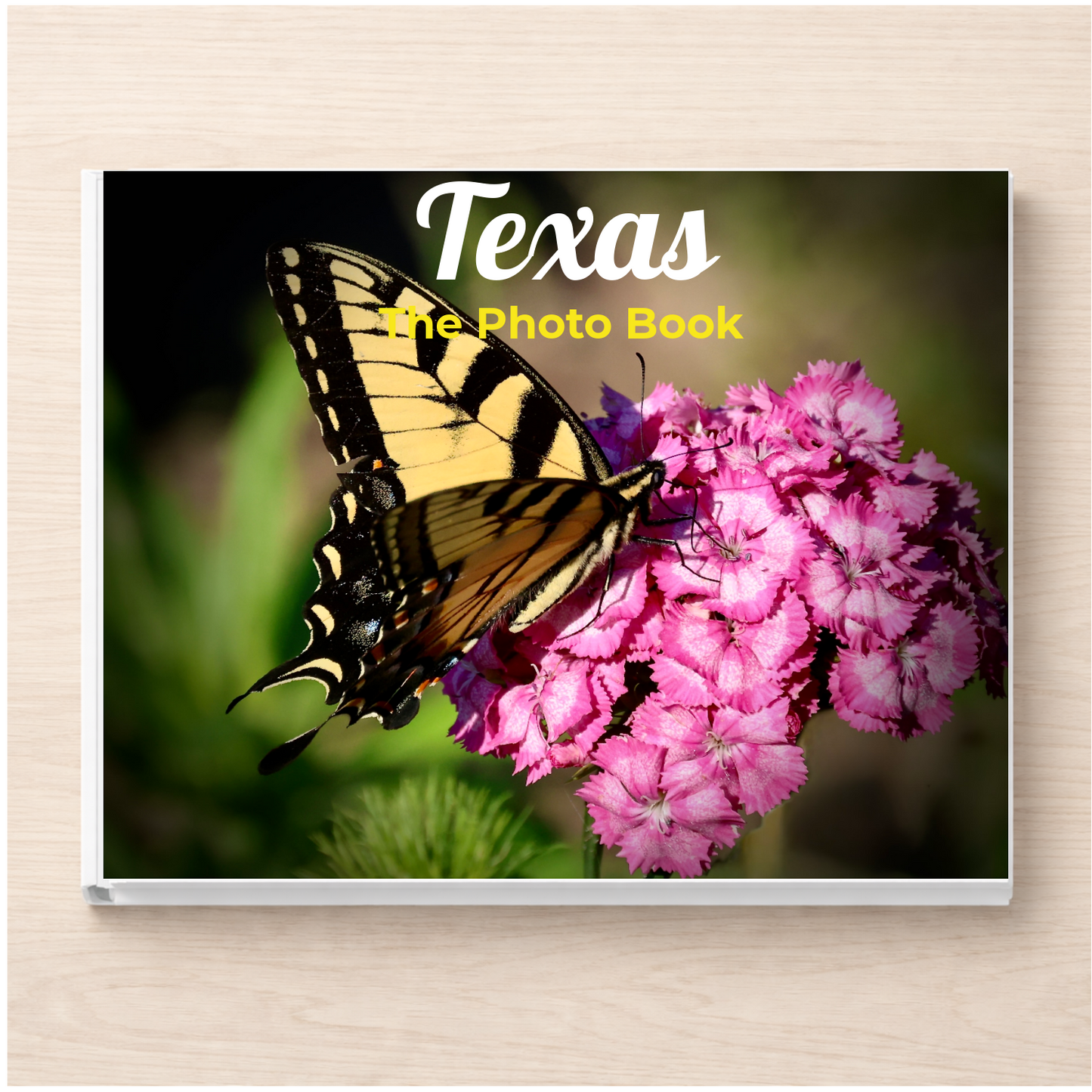 Texas: The Photo Book