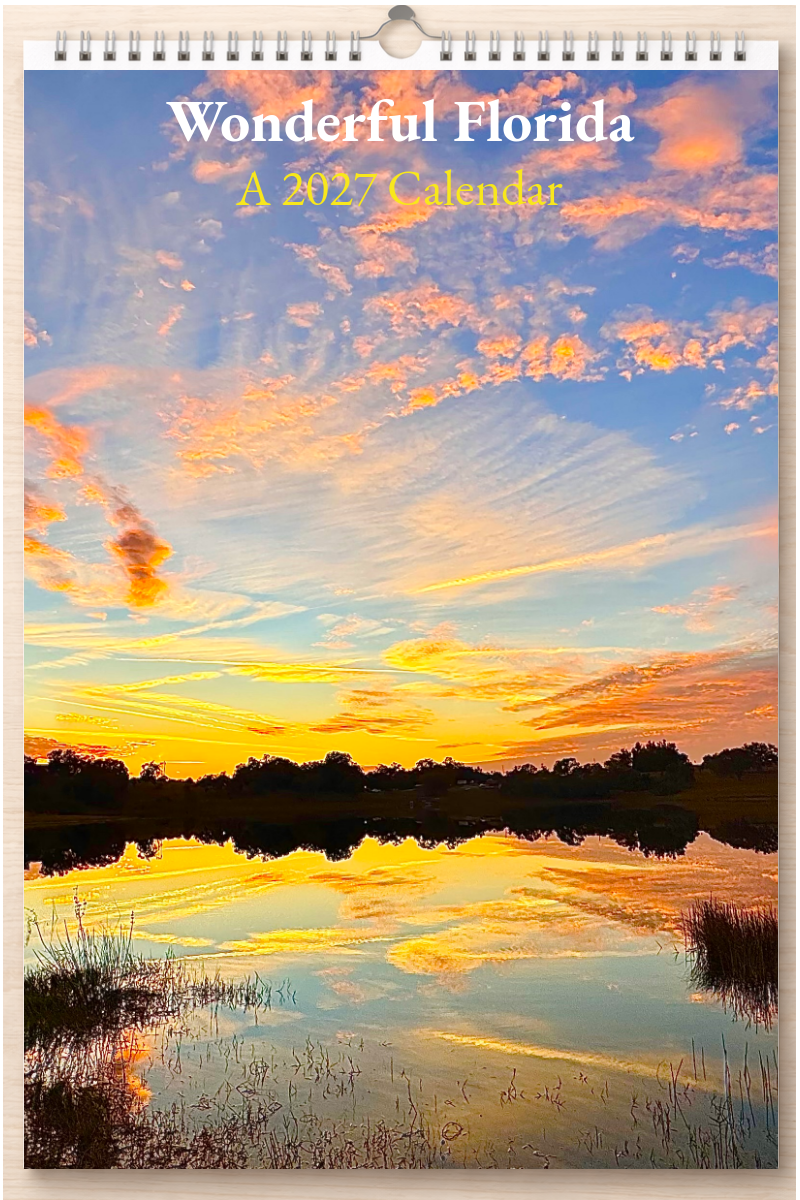 Wonderful Florida: A 2027 Calendar