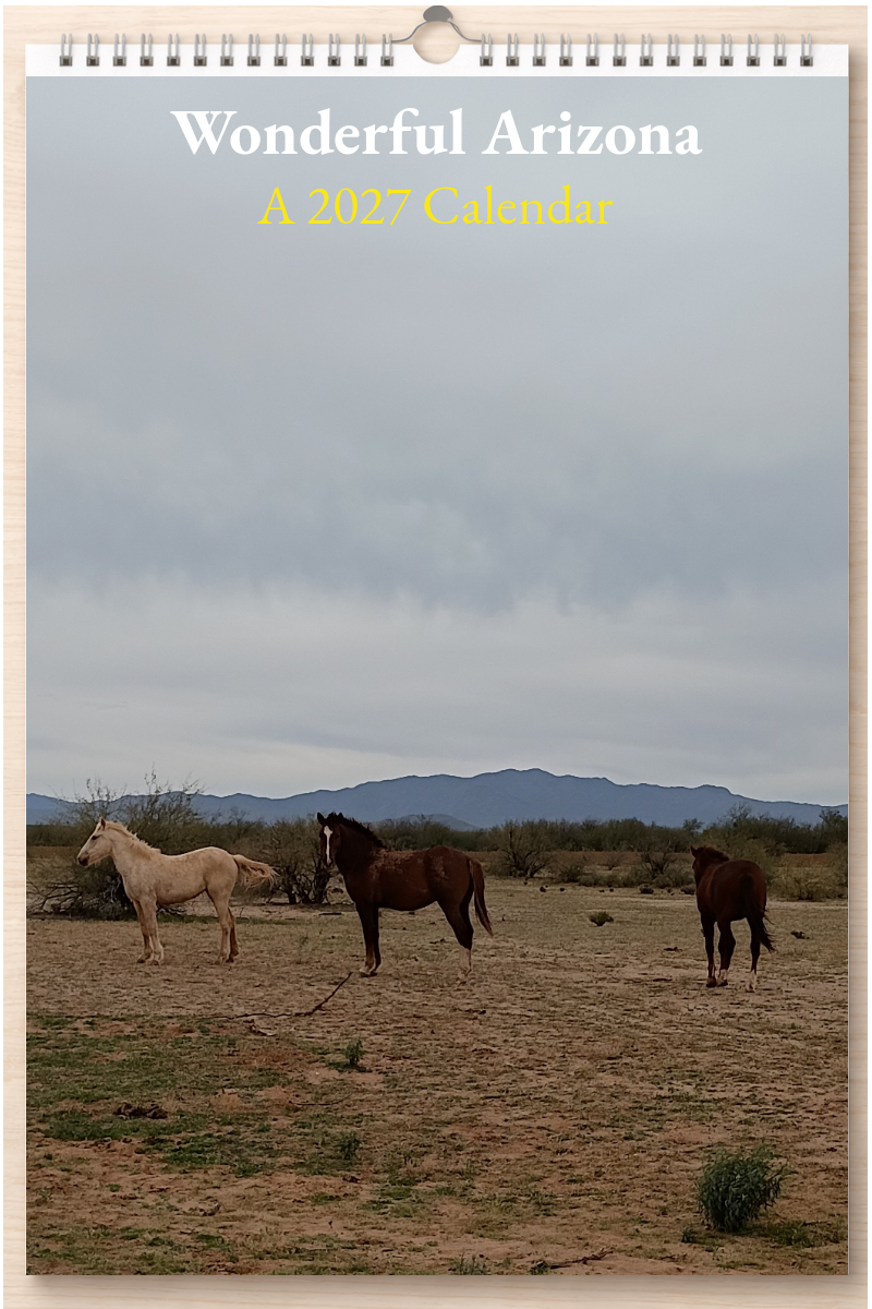 Wonderful Arizona: A 2027 Calendar