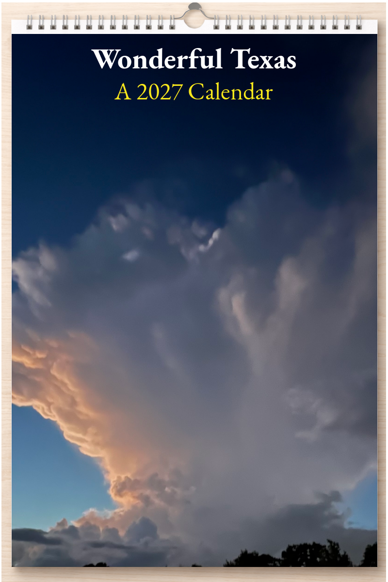 Wonderful Texas: A 2027 Calendar