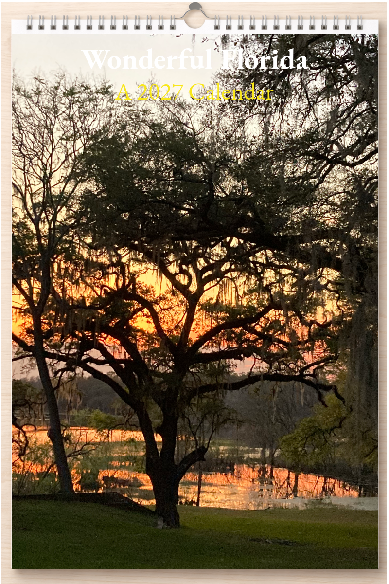 Wonderful Florida: A 2027 Calendar