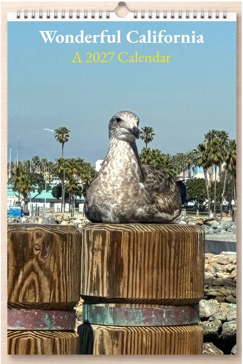 Wonderful California: A 2027 Calendar